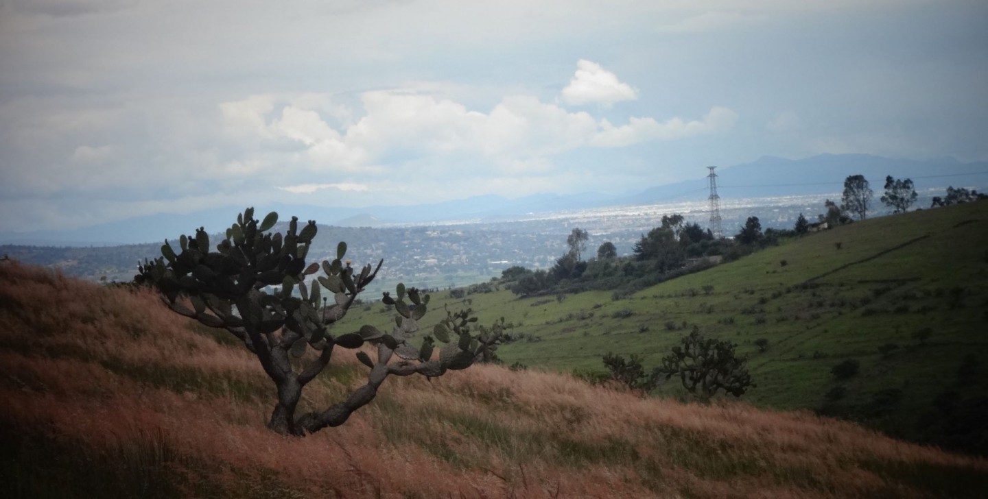 CERRO